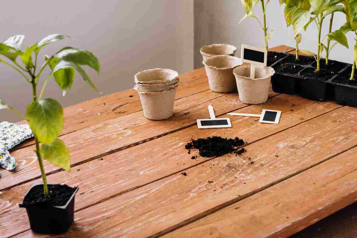 Garden shed with a wooden potting table featuring gardening tools, pots, and plant supplies neatly arranged.